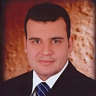 Prof. Dr. Hossameldeen Hussein Azzaz
