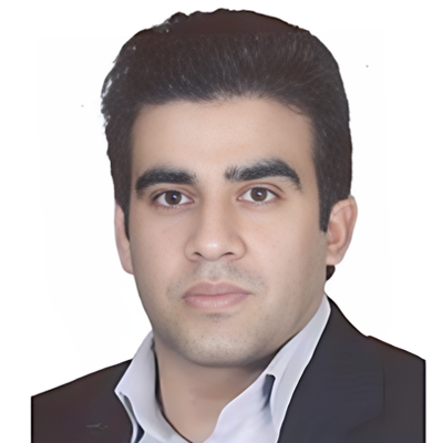 Dr. Amir Hossein Hamidian