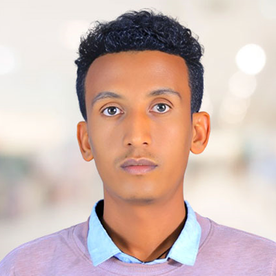 Dr. Dawit Dibekulu Alem